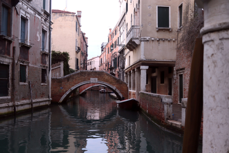 Entre canales y puentes - Venecia, Marzo 2023 - Blogs de Italia - 14/03 Palacio Ducal y museos cívicos (12)